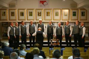 revija JSKD OI Trebnje (19)